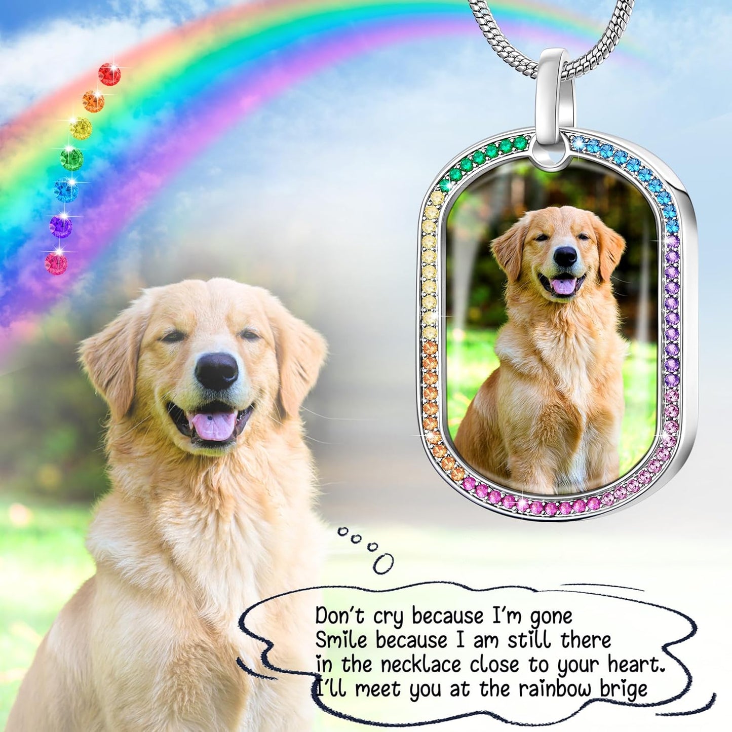 Fanery Sue Personalized Pet Ashes Necklace for Dog Cat Custom Photo&Text Pet Loss Sympathy Gift Cremation Jewelry