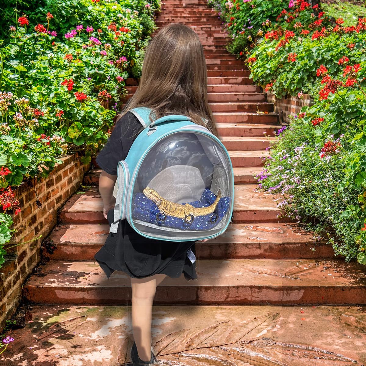 Guinea Pig Backpack Carrier, Bearded Dragon Carrier Backpack with Clear Bubble Window,Small Animal Travel Backpack for Hedgehog Rat，Chameleon,Rabbit,Sugar Glider,Airline Approved (Green, Backpack)