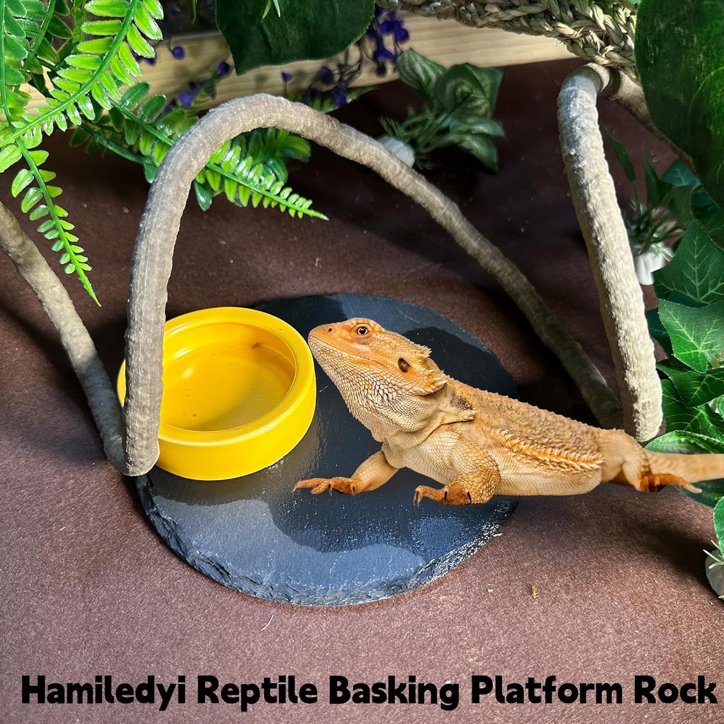8PCS Bearded Dragon Hammock Reptile Basking Platform Rock Reptile Artificial Plants Leaves & Vines Lizard Habitat Decor Terrarium Tank Accessories for Hiding & Climbing Snake Gecko Bird Chameleon