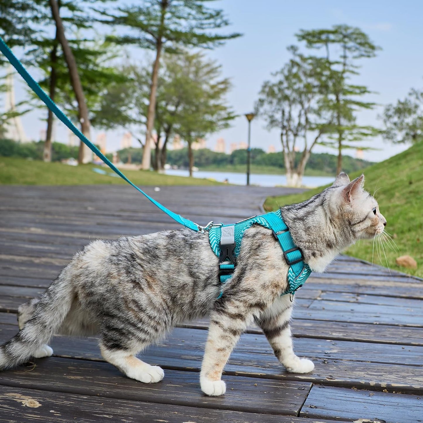Cat Harness and Leash Escape Proof Large Kitten Harness Ragdoll Cat Vest for Walking Travel, Turquoise, L