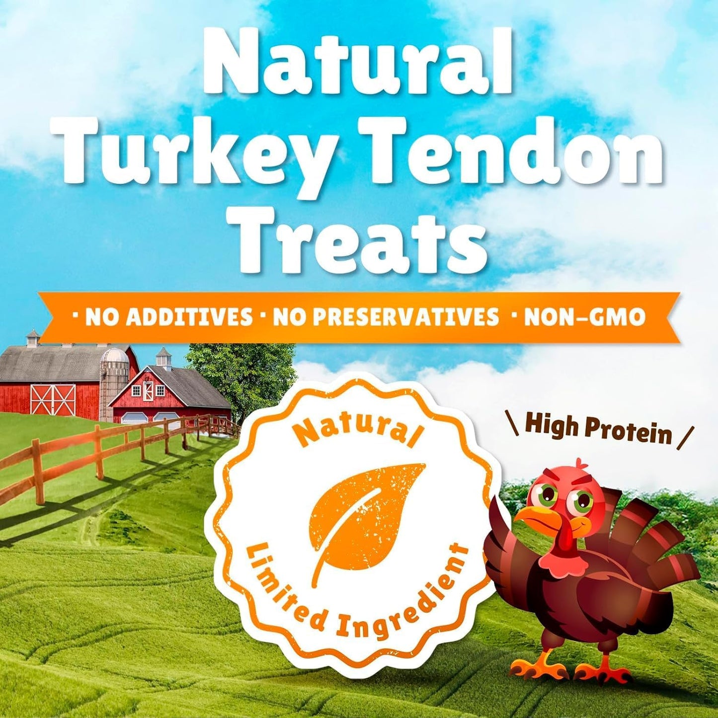 Gourmet USA Turkey Tendons by Sancho and Lola’s (12 Ounces) 100% Natural and 100% American Dog Chew Treat - A Healthy Snack for Healthy Pups