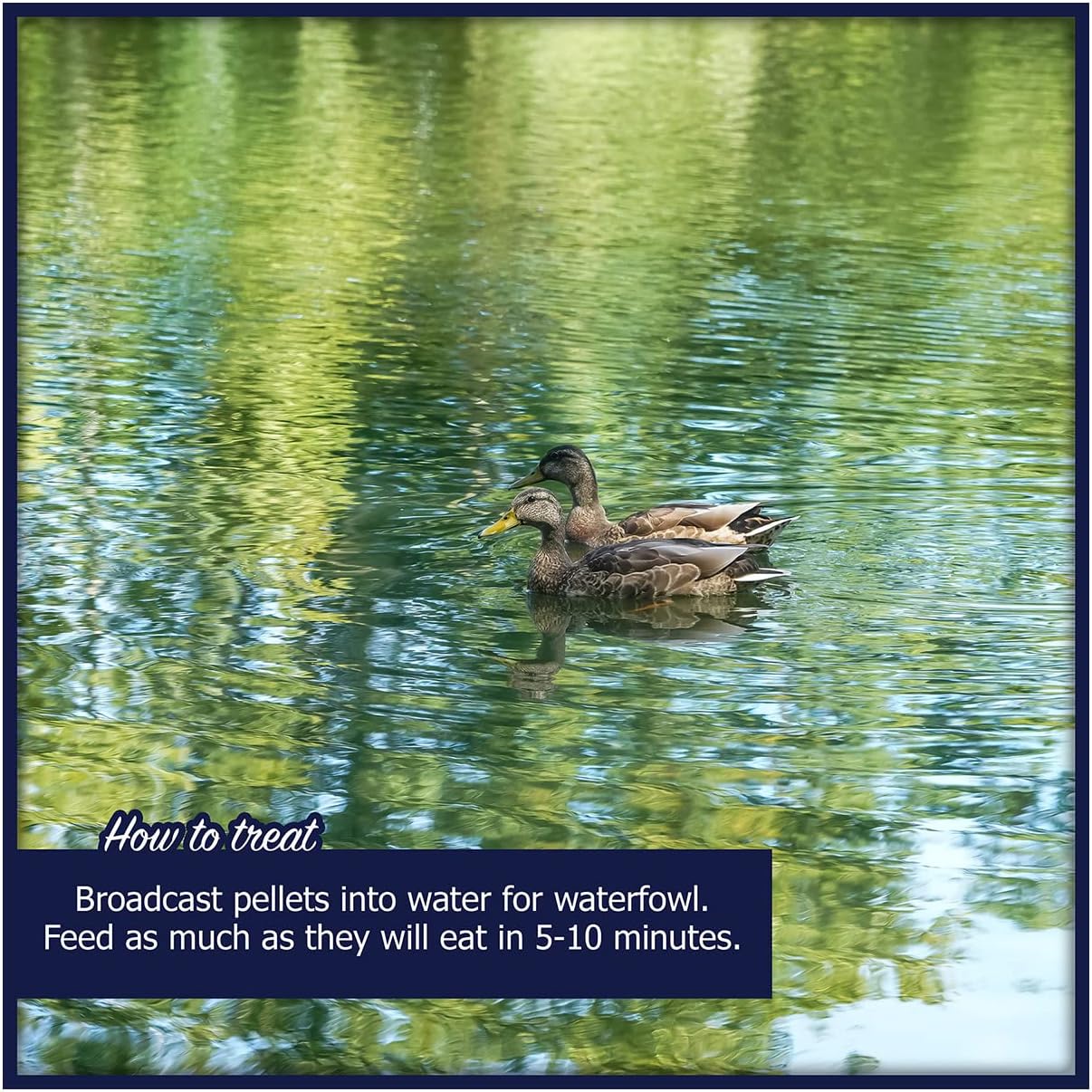 Natural Waterscapes Waterfowl Feed Open Water Diet 40 lb | for Feeding Ducks Geese Swans | Floating Pellets with Niacin for Ducks