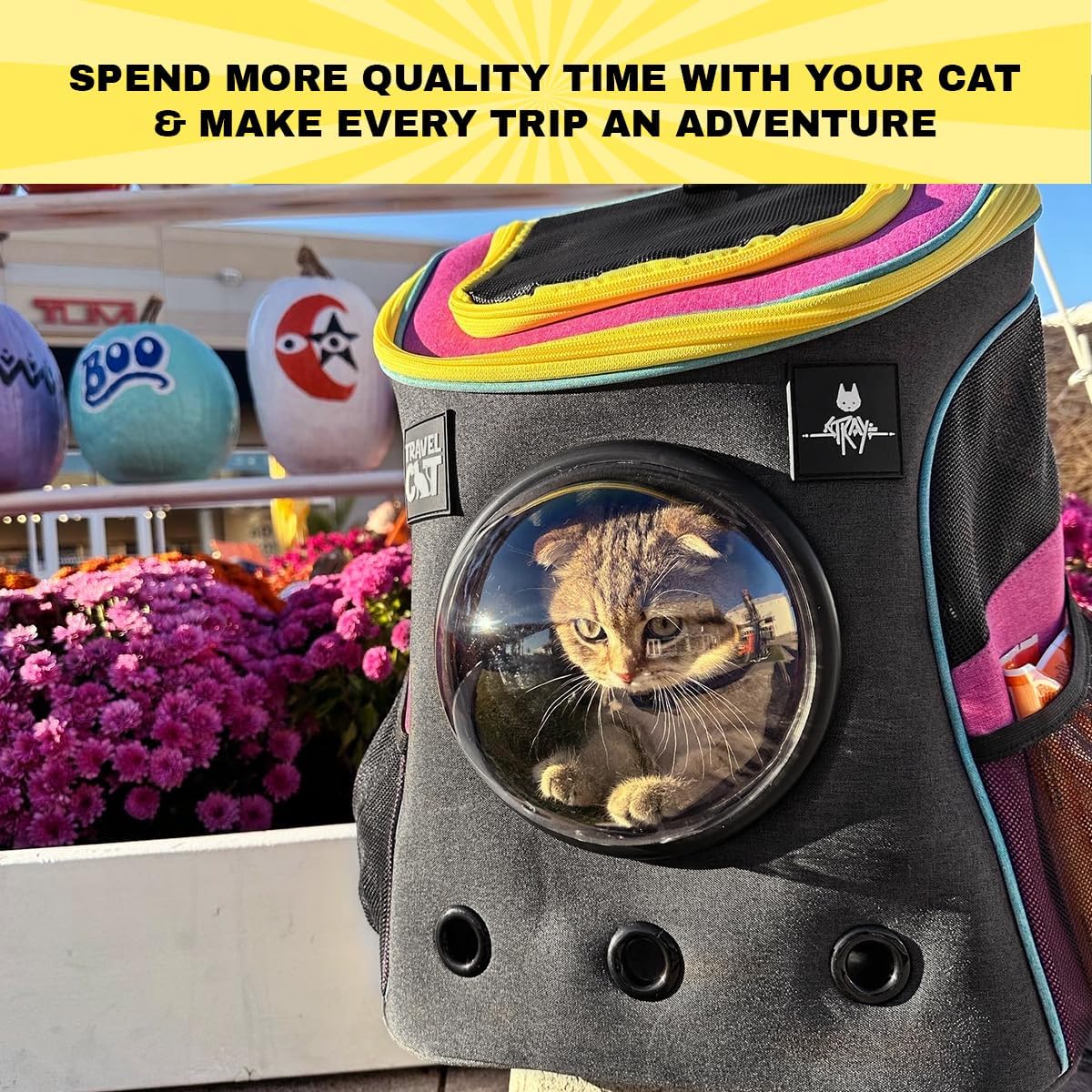 Fat Cat Backpack Carrier - Airline Approved Cat Carrier with Space Capsule Bubble for for Small Cats, Kitten - Premium Stray Cat Carrier Backpack for Outdoor, Travel, Hiking, Pet Supplies