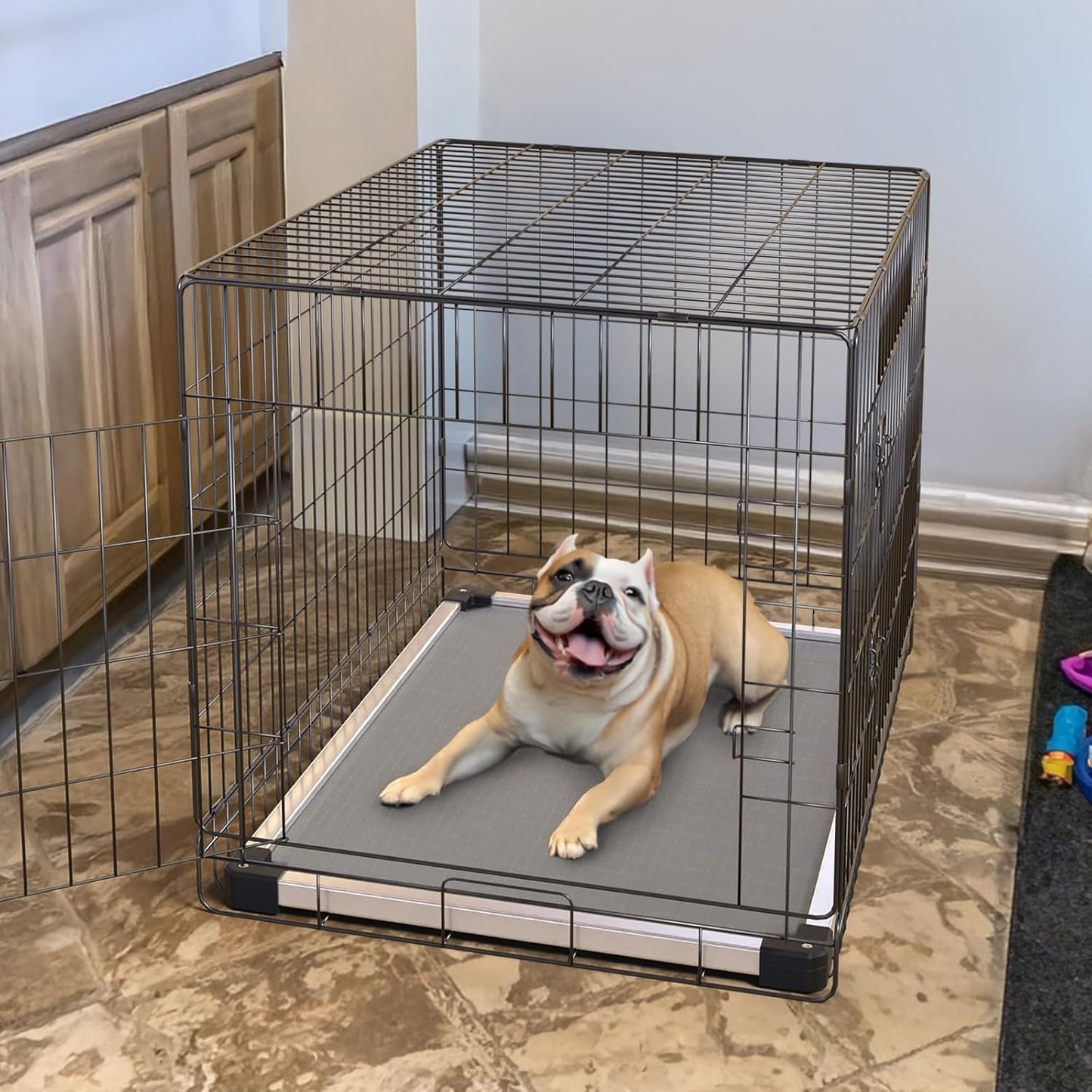 FXW TitanNest Chew-Proof Elevated Dog Bed, Raised Cot for Indoor/Outdoor/Camping Use, Durable & Washable Padded Pet Bed for Small Dogs, 35.0" L x 22.0" W x 4.5" H, Gray