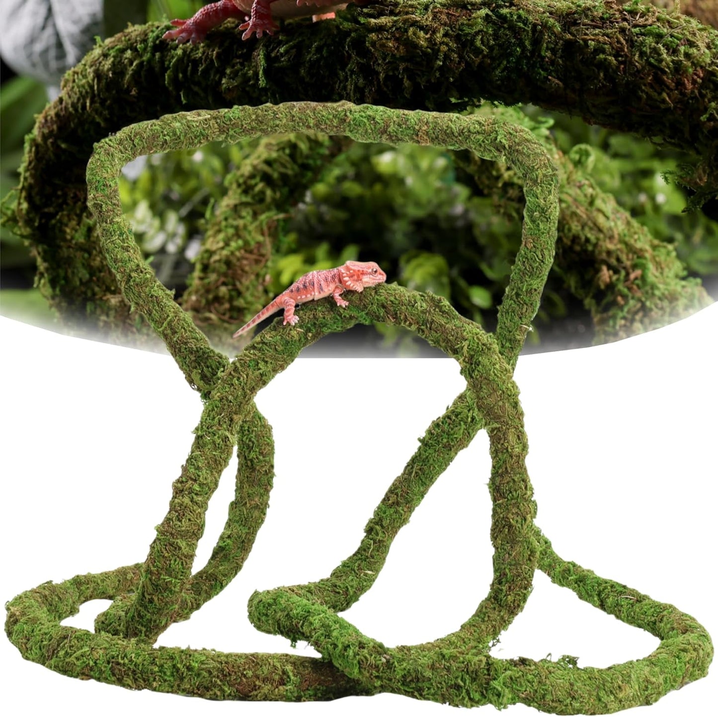 Moss Vine for Reptiles, Bendable Climbing Vines Reptile Tank Accessories, Natural Moss Rope for Leopard Gecko, Lizard, Snake, Chameleon, Frog Terrarium Decor (Jungle Green, 6.5 FT)