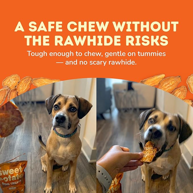 Davie's Sweet Potato Dog Treats - Healthy, Natural, Low Fat Chews Made in USA - 1 lb Bag, Pack of 2