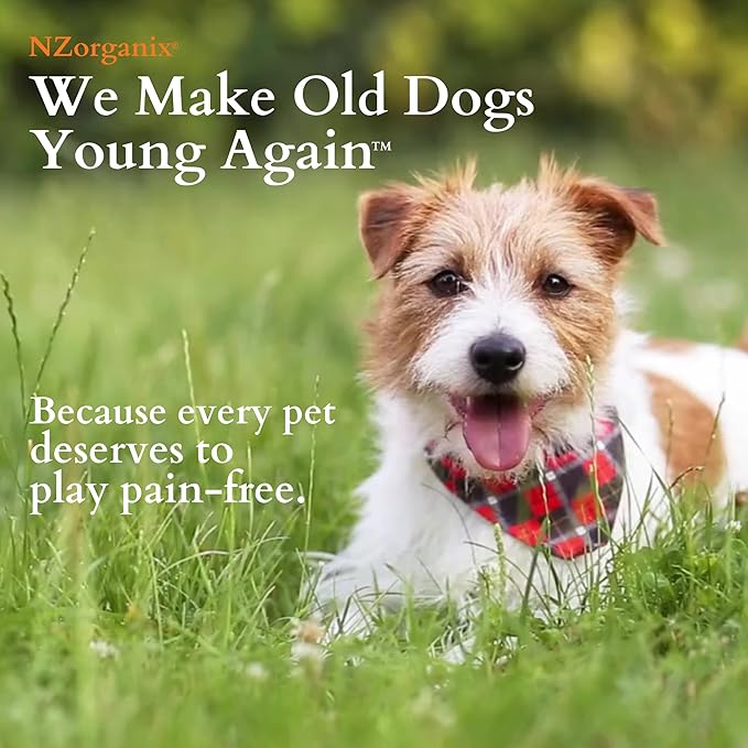 NZorganix FlexxiJoints Hip and Joint Supplement Chews for Dogs, Cats • 100% Grass-Fed Beef Bone Collagen New Zealand Green-Lipped Mussels • 100 Chews