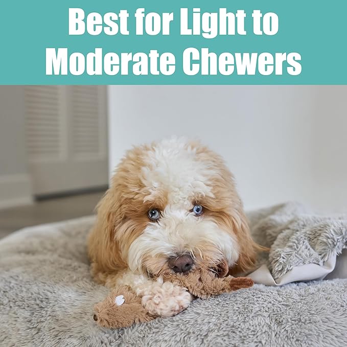 SPOT Skinneeez Beaver Dog Toy – 14" Stuffing-Free Plush Squeaky Dog Toy, Durable Interactive Toy for Small & Medium Dogs, Light to Moderate Chewers, Mess-Free Play