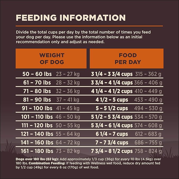 Wellness CORE Dry Dog Food, Large Breed, Grain-Free, High Protein, Natural, Original Chicken & Turkey Recipe, (26-Pound Bag)