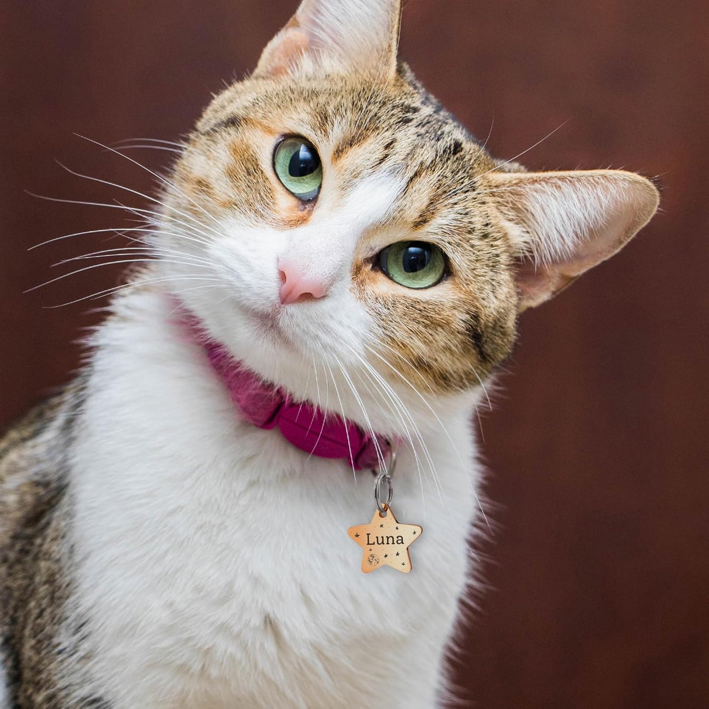 Anavia Small Size Dog Cat ID Tags, Small/XS Personalized Color Plated Stainless Steel Puppy Kitten Name Tags, Customized Engraved Nameplate Pet Collar Tag (Silver, Star)