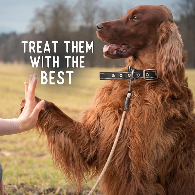 Beg & Barker Pork Chips for Dogs (8 Ounce, Pack of 1) - Single Ingredient Dog Treats Made for Large & Small Dogs Protein Human Grade Dog Treats Made from Real Meat Pork, Made in USA