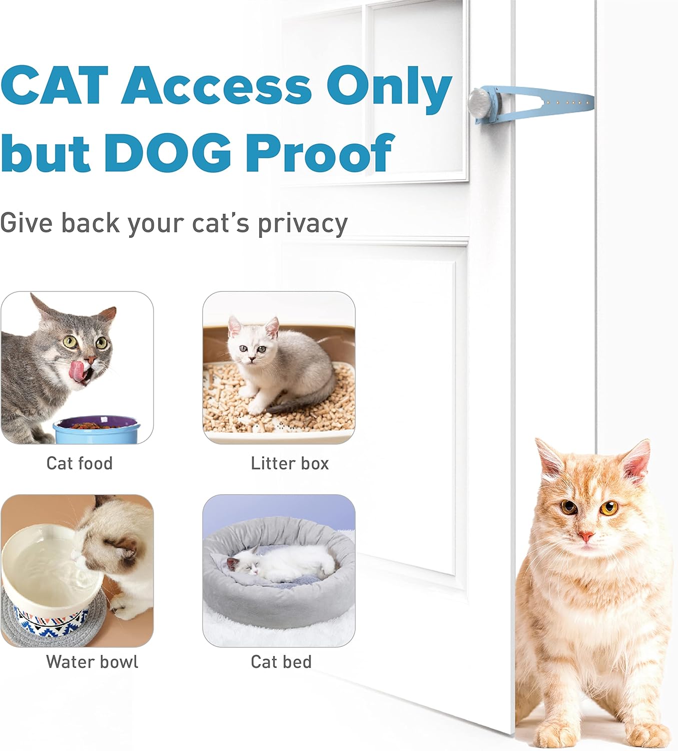 Cat Door Latch, 7 Sizes Adjustable Cat Door Holder Latch to Keep Dog Out of Litter Box, Economical Alternative of Pet Gates and Interior Cat Door, Plastic