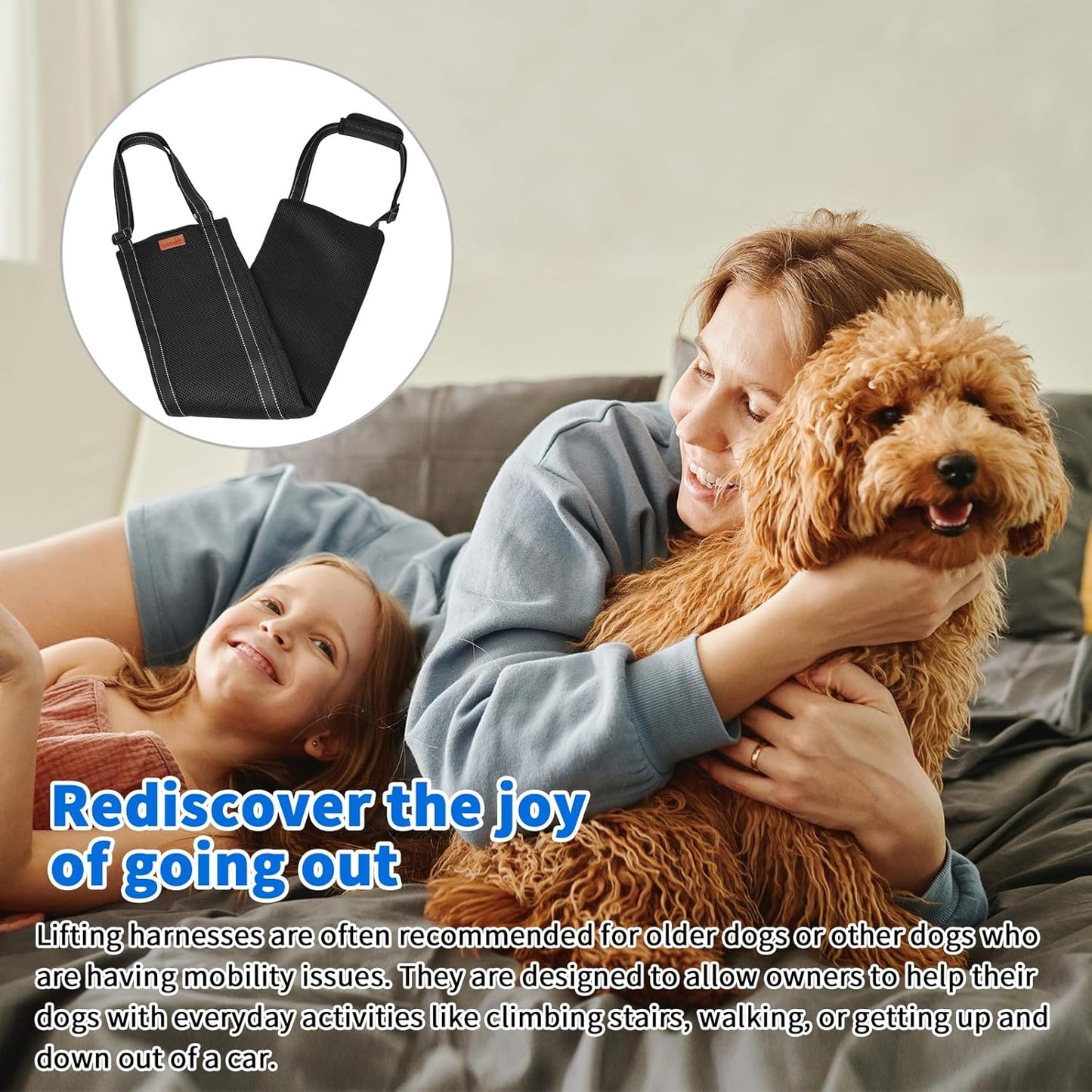 LOOBANI Portable Dog Sling for Back Legs, Hip Support Harness to Help Lift Dogs Rear for Canine Aid and Old K9 Cruciate Ligament Rehabilitation