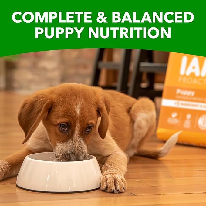 IAMS Proactive Health Puppy Food with Real Chicken, 7 lb. Bag