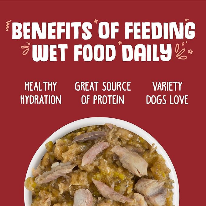 Weruva Classic Dog Food, Marbella Paella with Mackerel & Pumpkin in Aspic, 5.5Oz Can (Pack of 24)