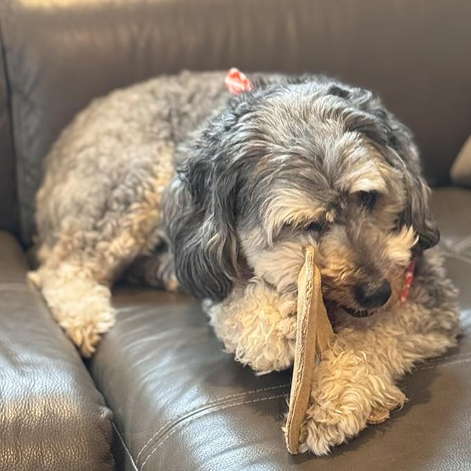 SPOT Dura-Fused Leather Fox Dog Toy – Real Leather & Jute Fabric, Double-Stitched & Durable, Squeaky Interactive Chew Toy for Moderate Chewers, Small & Medium Dogs, Soft Stuffed Fetch Toy, 7.5in