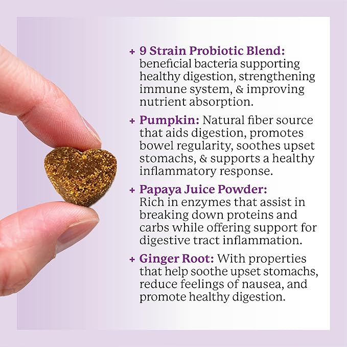 Dr. Harvey's Digestive Probiotic Soft Chews for Dogs, 9 Probiotics for Gut Health, Diarrhea and Bowel Support, Peanut Butter Flavor (90 Chews)