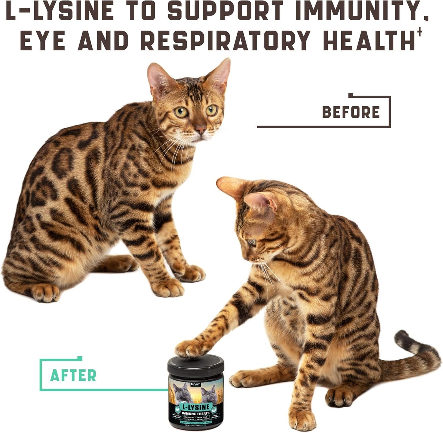 Lysine Cat Treats with Natural Vitamins & Trace Minerals - Daily Immune Support for Cats & Kittens That Eases Sneezing, Runny Nose, Watery Eyes - Promotes Respiratory Health, Normal Eye Function 135