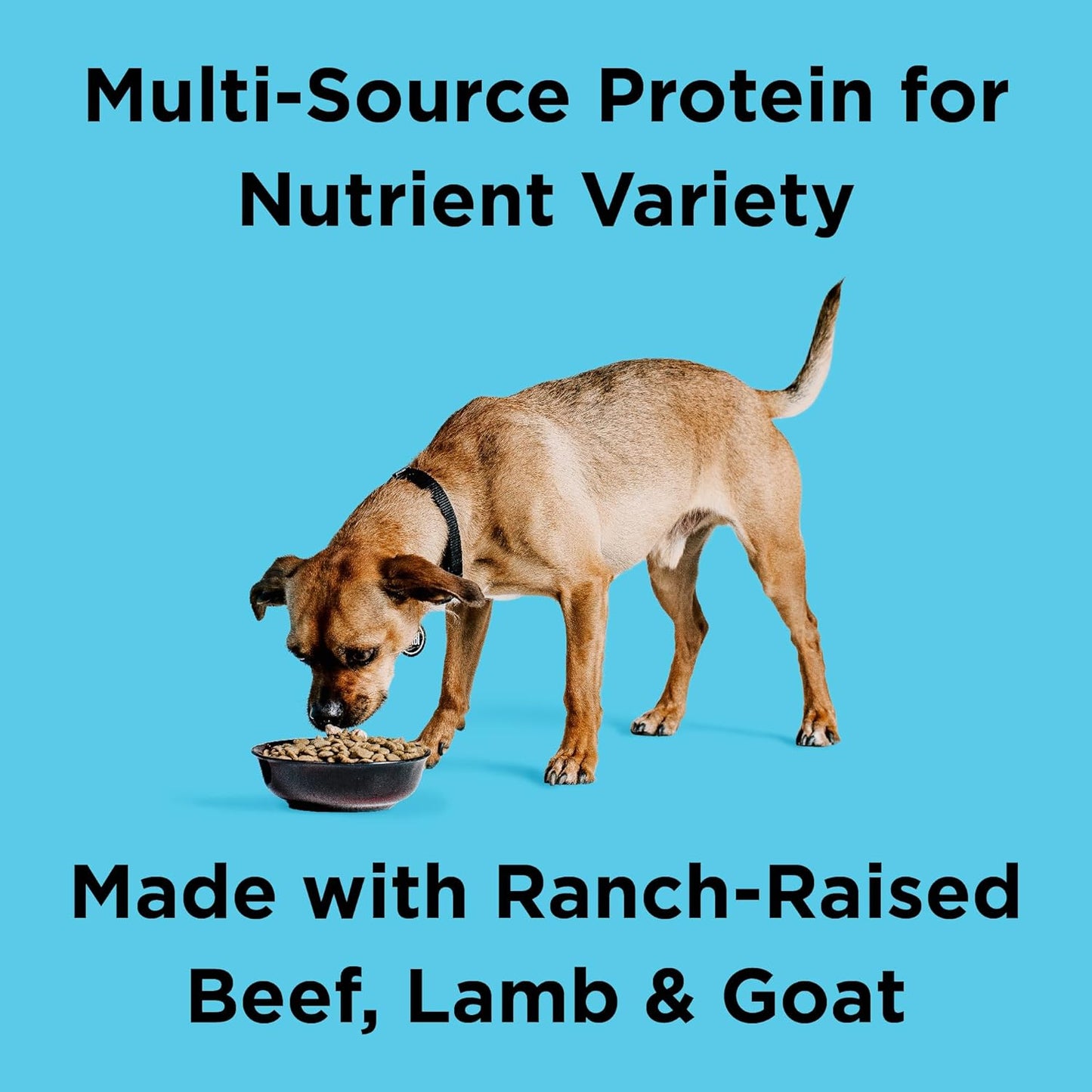 BIXBI Liberty Grain Friendly Dry Dog Food, Rancher's Red Recipe, 22 lbs - Fresh Meat, No Meat Meal, No Fillers - Gently Steamed & Cooked - No Soy, Corn, Rice or Wheat for Easy Digestion - USA Made