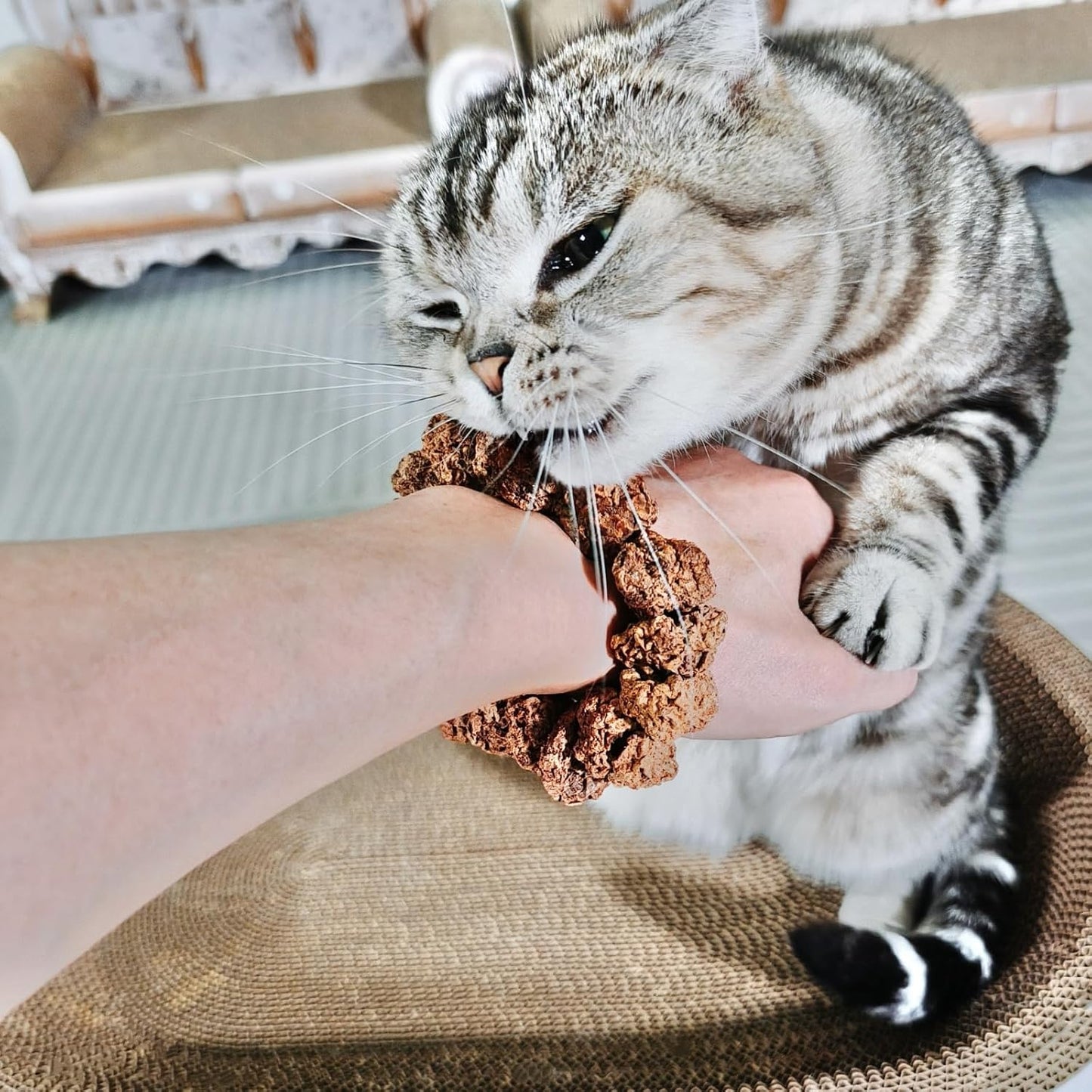 Natural Silvervine Gall Fruit Cat-Attracting Bracelet,Interactive Cat Toy for Indoor Cats,Cat Chew Toy with Gallfruit | Catnip & Silvervine Alternative, Stress Relief & Gift