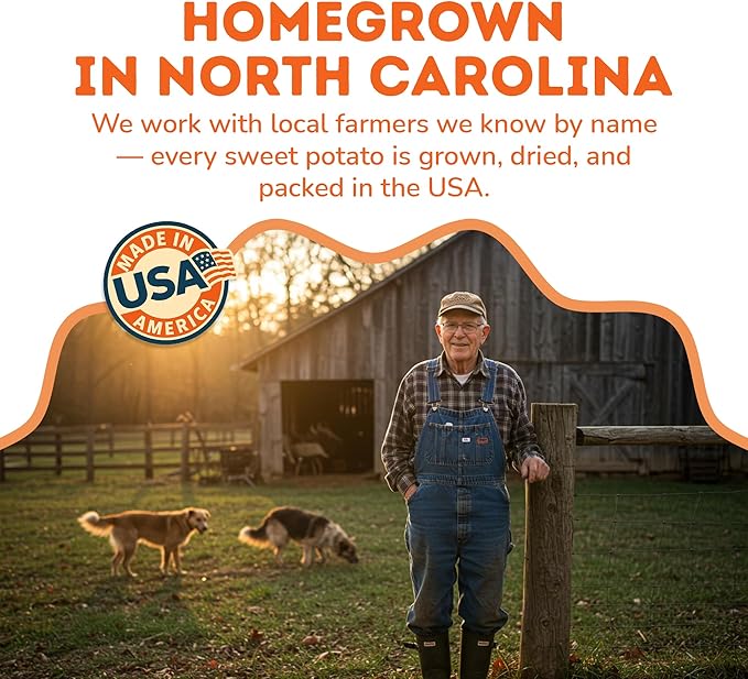 Davie's Sweet Potato Dog Treats - Healthy Dog Chews, Low Fat, Made in USA, 1 lb Bag - Pack of 5