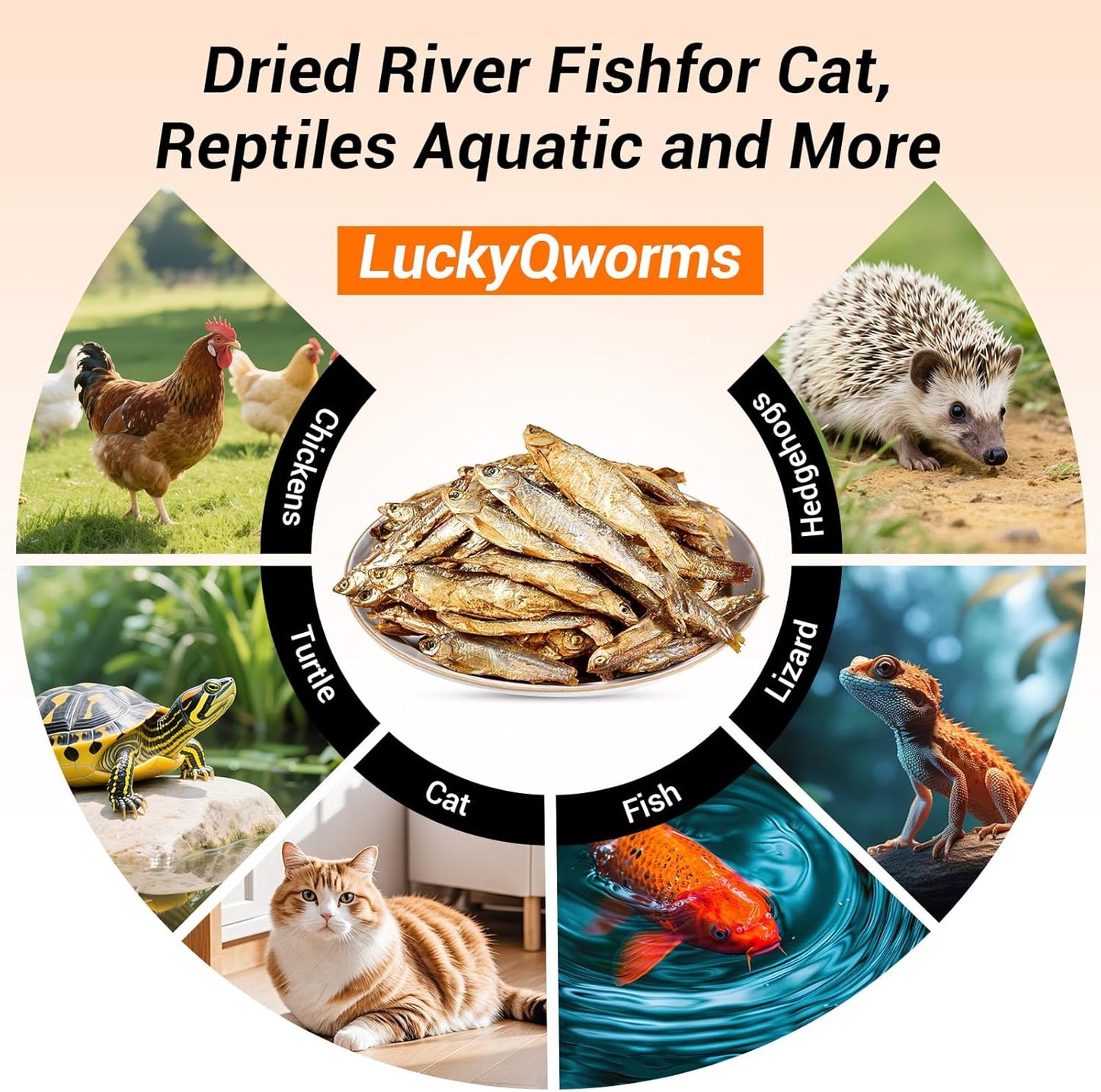 Dried Freshwater Fish, 1 Lbs Resealable Bag - Natural High-Protein Food for Turtles, Reptiles, Large Tropical Fish, Cats, Small Pets and Chicken - Crude Protein 30% Min