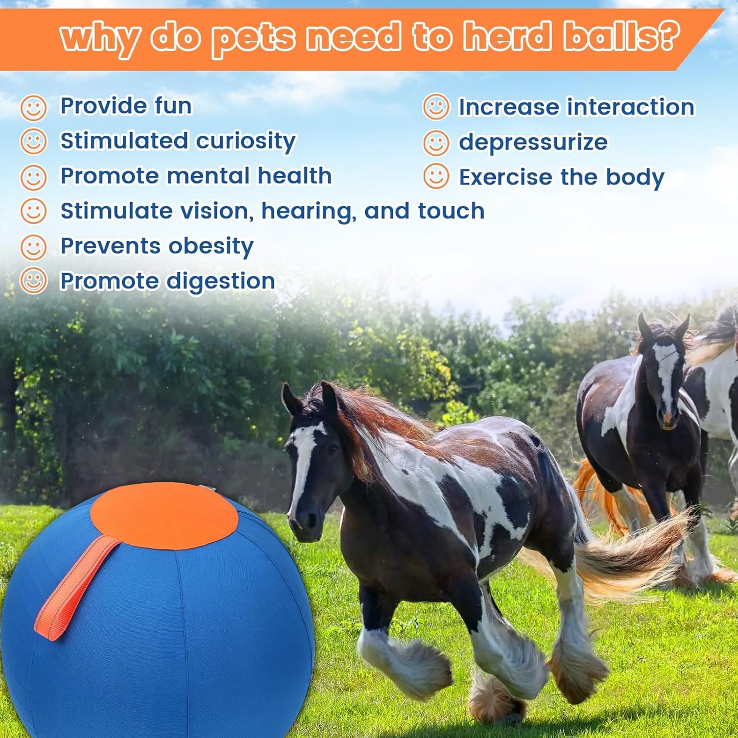 Aimery Horse Herding Ball - 25" Cover with Straps, Australian Shepherd, Cattle Dogs, Collie & Herding Dog, Giant Jolly Ball for Play