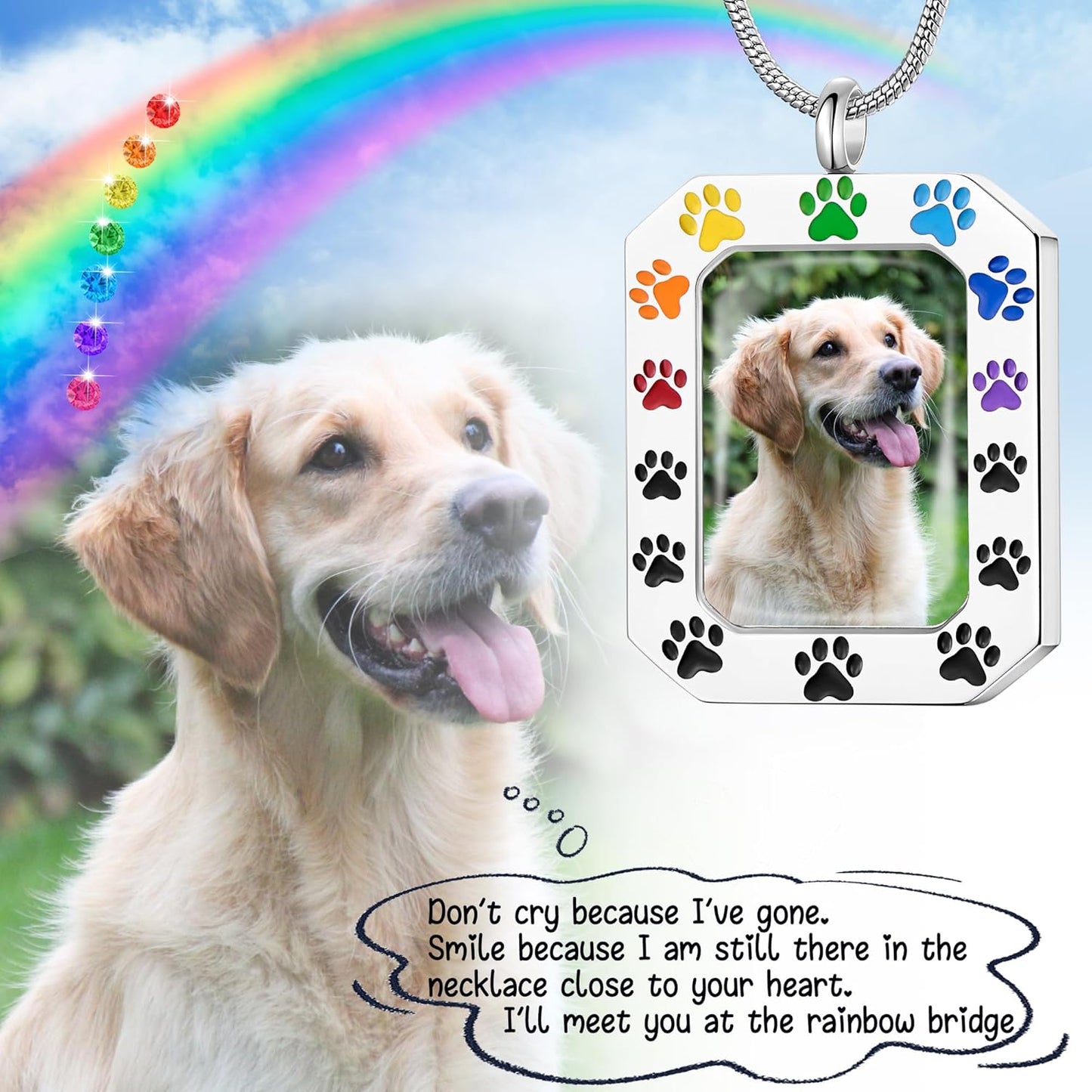 Fanery Sue Personalized Pet Ashes Necklace for Dog Cat Custom Photo&Text Pet Loss Sympathy Gift Cremation Jewelry