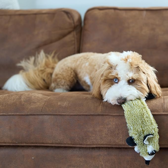 SPOT Skinneeez Raccoon 23 Inch Stuffing-Free Dog Toy – Soft Plush Tug Toy with Two Squeakers for Medium and Large Dogs – Mess-Free Interactive Chew Toy