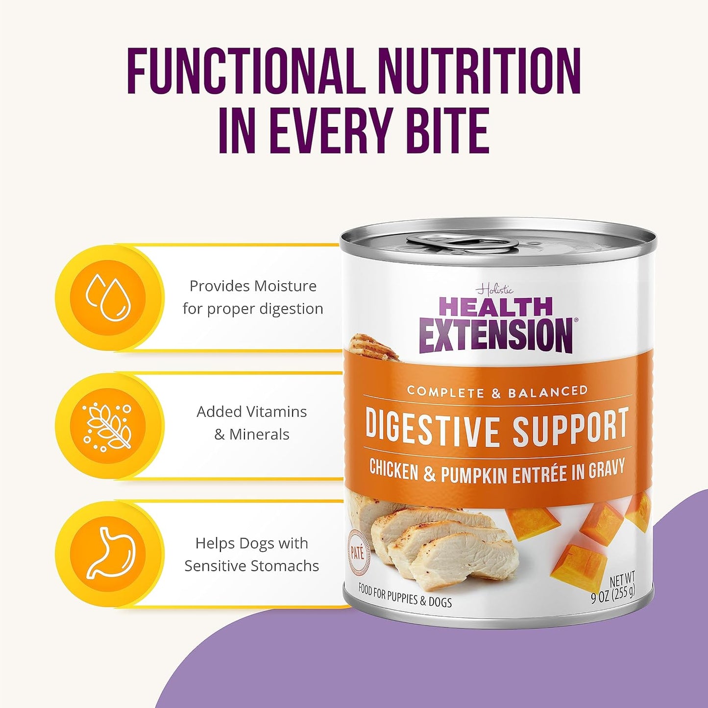 Health Extension Wet Dog Food Chicken & Pumpkin Entrée in Gravy, 9 oz - Digestive Support with Superfoods & Antioxidants for Immune Support (Case of 12 Cans)