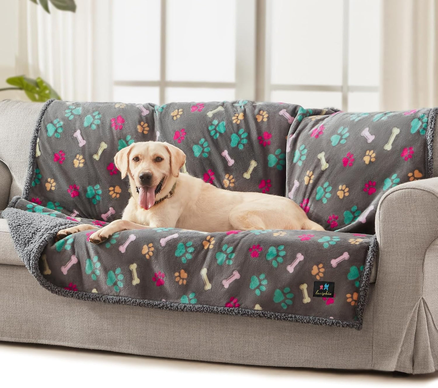 Luciphia Waterproof Pet Blankets for Couch Sofa Bed Cover Cat Liquid Pee Proof Washable Soft Fluffy Large Dog Blanket Reversible Furniture Protection Puppy Grey Bone Thicken Large（65" x 57"）