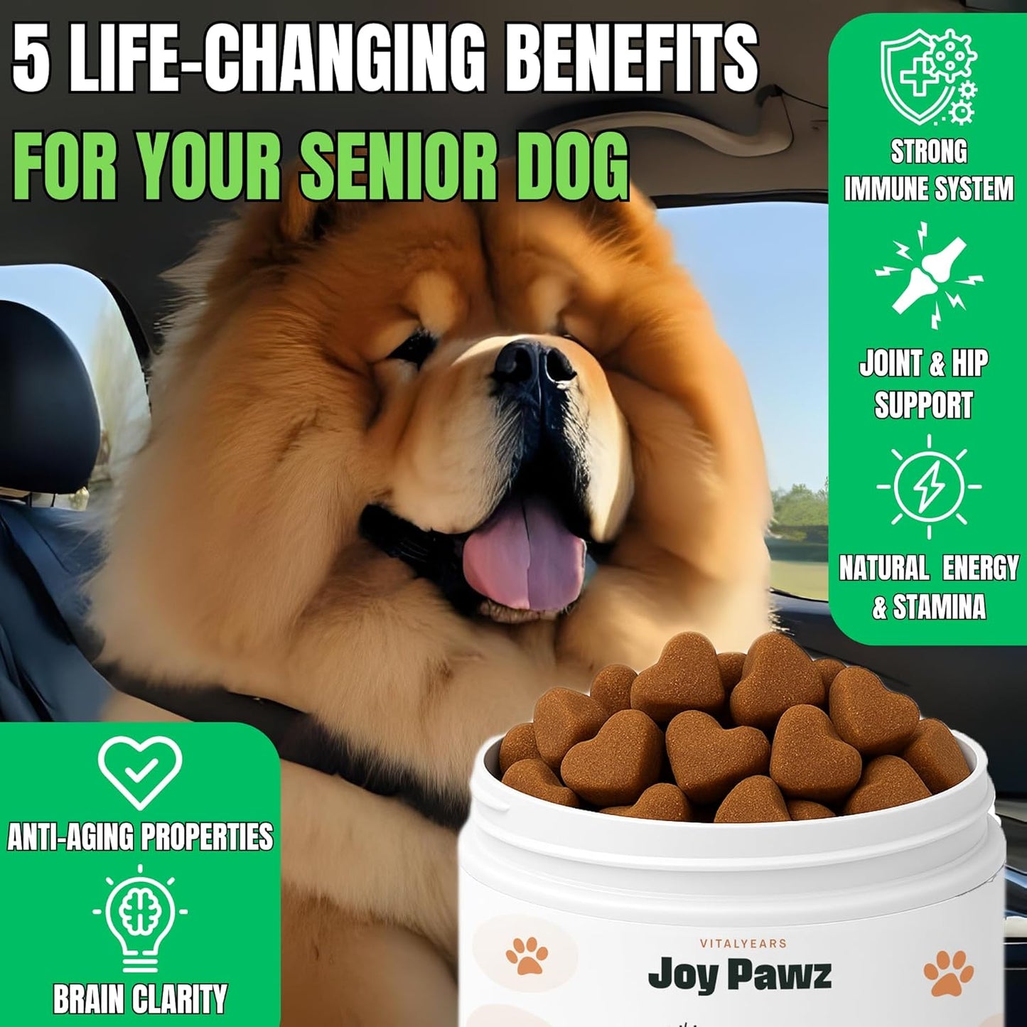 Anti-Aging Dog Supplement – NAD+ Levels Raised w/Nicotinamide Riboside, Tumeric, Multivitamin, Probiotics - Soft Chews for Senior Dogs - Brain, Joint & Immune Support – Chicken Flavor, 100pc