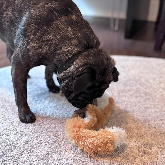 SPOT Skinneeez Fox – 14" Stuffing-Free Plush Squeaky Dog Toy for Small & Medium Dogs, Best for Light to Moderate Chewers, Mess-Free Play