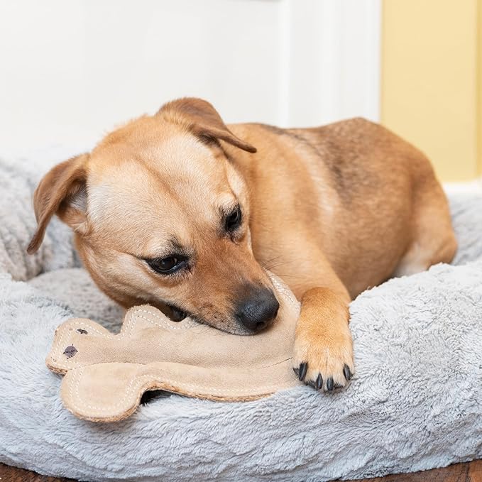 SPOT Dura-Fused Leather Squirrel Dog Toy – Real Leather & Jute Fabric, Double-Stitched & Durable, Soft Stuffed Squeaky Interactive Chew Toy for Moderate Chewers, Small & Medium Dogs, 8in