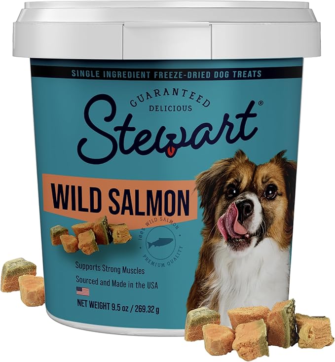 Stewart Single Ingredient Freeze Dried Raw Dog Treats, Wild Salmon, 9.5 Ounce, Approx. 190 Pieces per Resealable Tub, Training Treats or Meal Topper, High Protein, Grain Free, Gluten Free