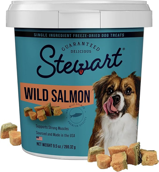 Stewart Single Ingredient Freeze Dried Raw Dog Treats, Wild Salmon, 9.5 Ounce, Approx. 190 Pieces per Resealable Tub, Training Treats or Meal Topper, High Protein, Grain Free, Gluten Free