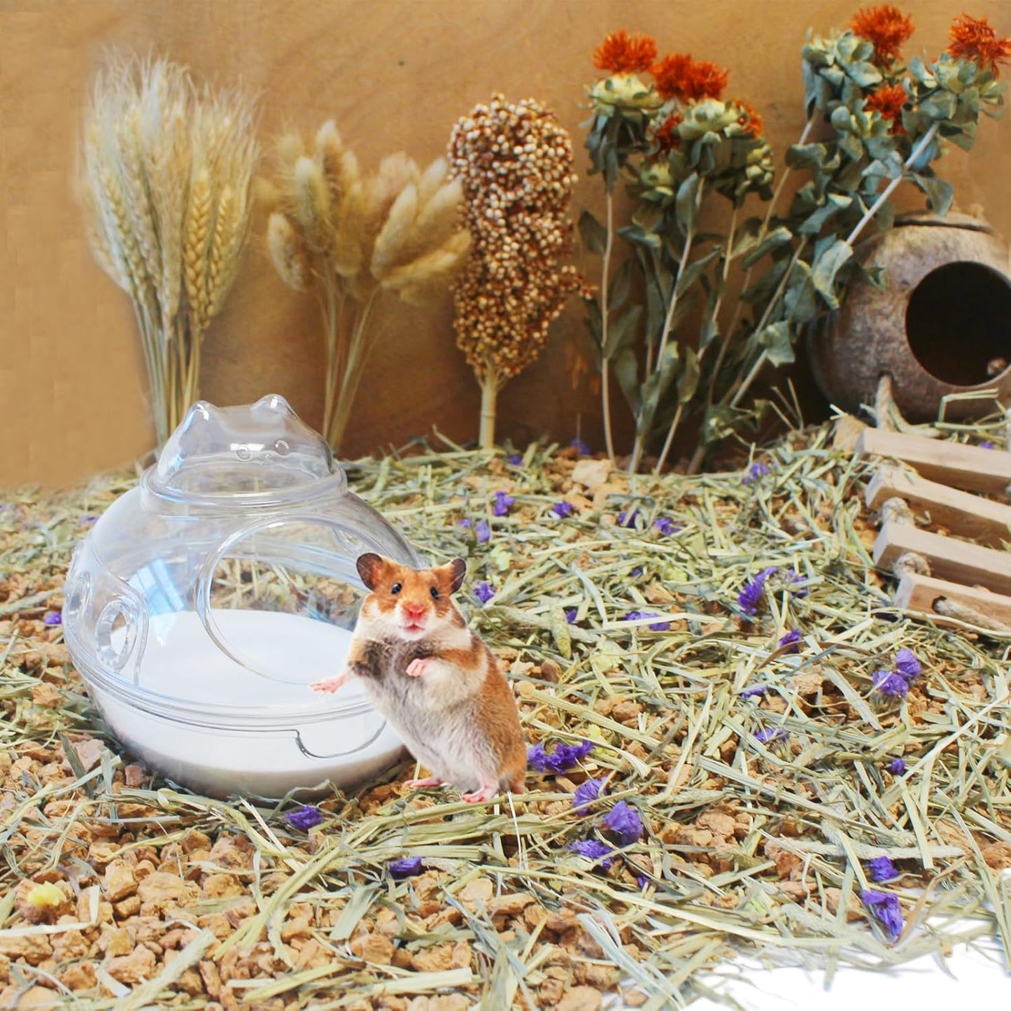 Hamster Bath Sand, 7.7lb Dust Free Desert Sand or Potty Litter Sand for Hamster Chinchillas Gerbil Syrian Mice Small Animals