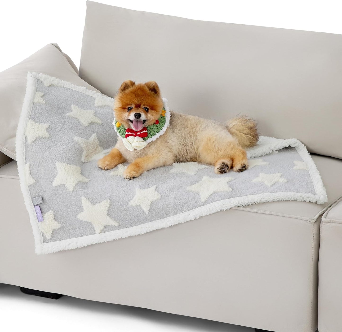Lesure Waterproof Dog Blanket for Small Dogs - Washable Double Sided Dog Blankets with Warm Jacquard Shag and Soft Sherpa Fleece, Pet Cat Blanket for Couch Protection, 3D Textured Star, Grey