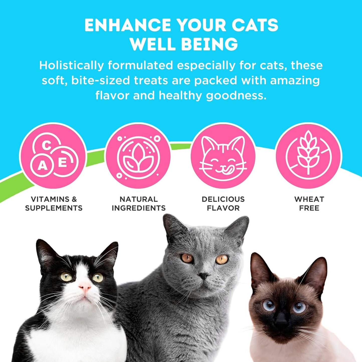 Only Natural Pet Hairball Care - Healthy Skin and Coat Support - Soft Chews for Cats – Digestive Supplement with Flaxseed, Psyllium Husk and Corn Silk – Chicken and Liver Flavor – 60 Count