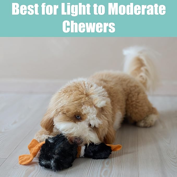 SPOT Skinneeez Mini Mallard Duck 13 Inch Stuffing-Free Plush Squeaky Dog Toy – Soft Interactive Toy for Small and Medium Dogs – Mess-Free Play for Light & Moderate Chewers – Assorted Styles