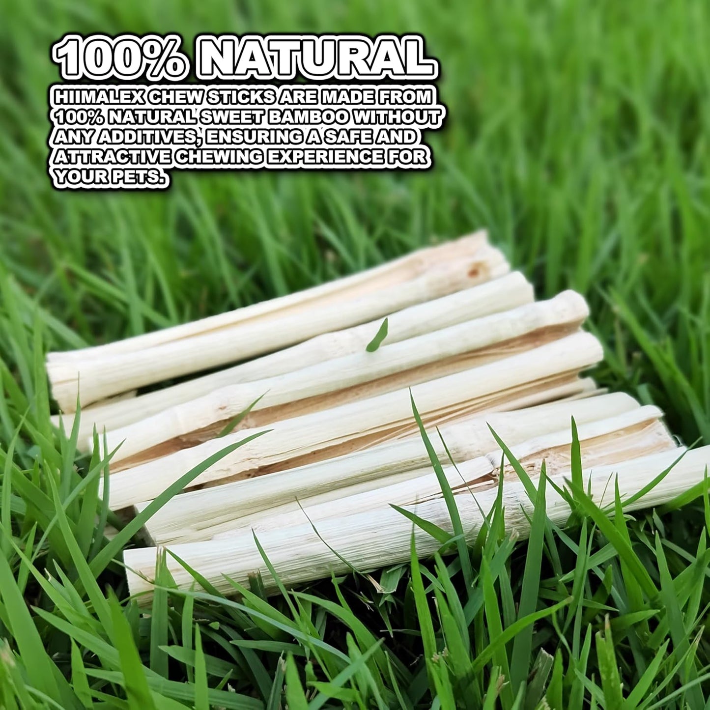 HIIMALEX Bunny Snacks 300g/10oz. Sweet Bamboo Molar Chew Treat Sticks for Rabbits Guinea Pigs Hamsters Small Animal