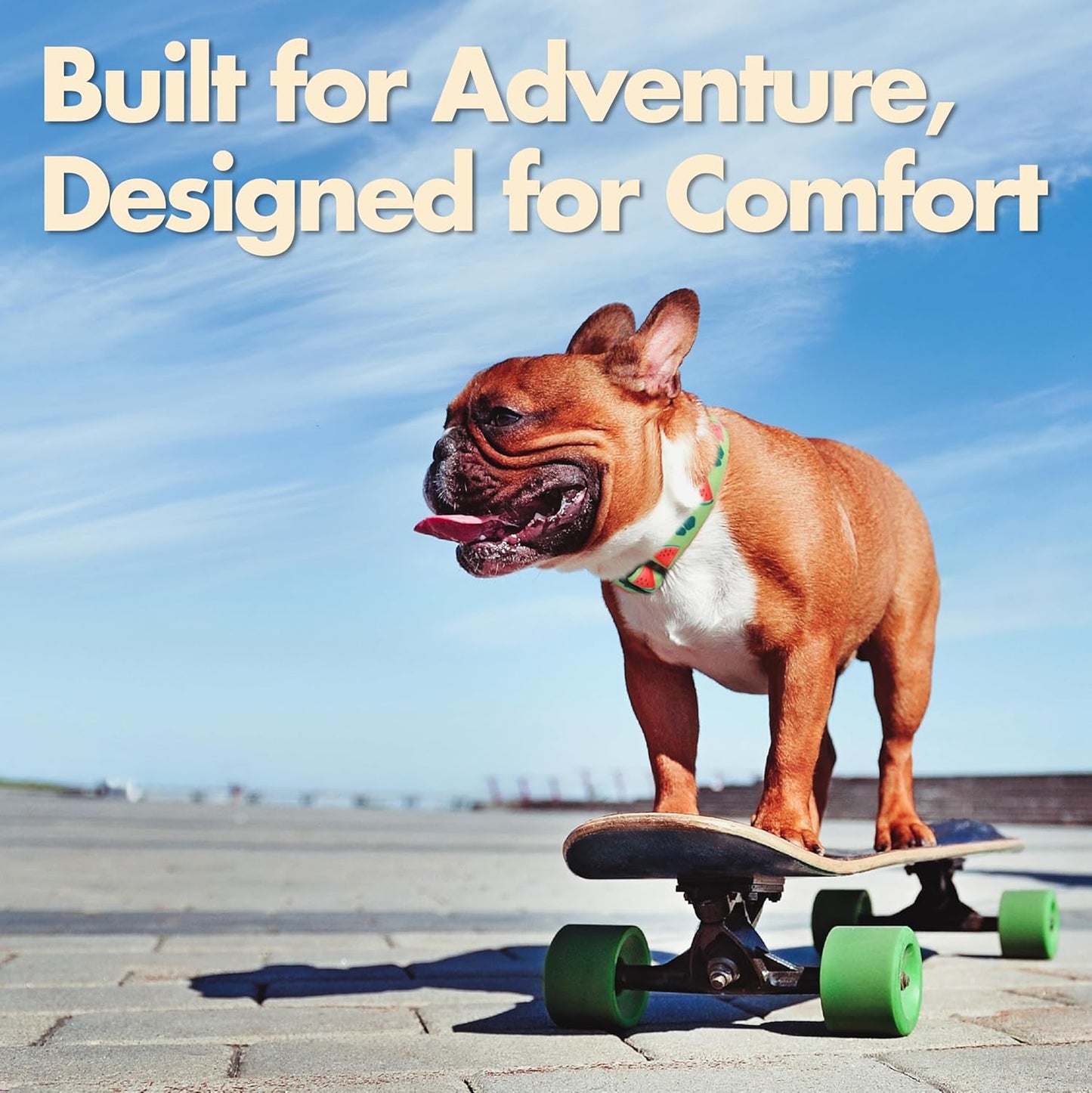 Heavy Duty Dog Collar, Durable Summer Watermelon Print Adjustable Collar with Aluminum D-Ring, Reflective Logo & Soft Padding Fits for Large Breed Dogs, Neck Size 16’’-25’’ (Watermelon, L)