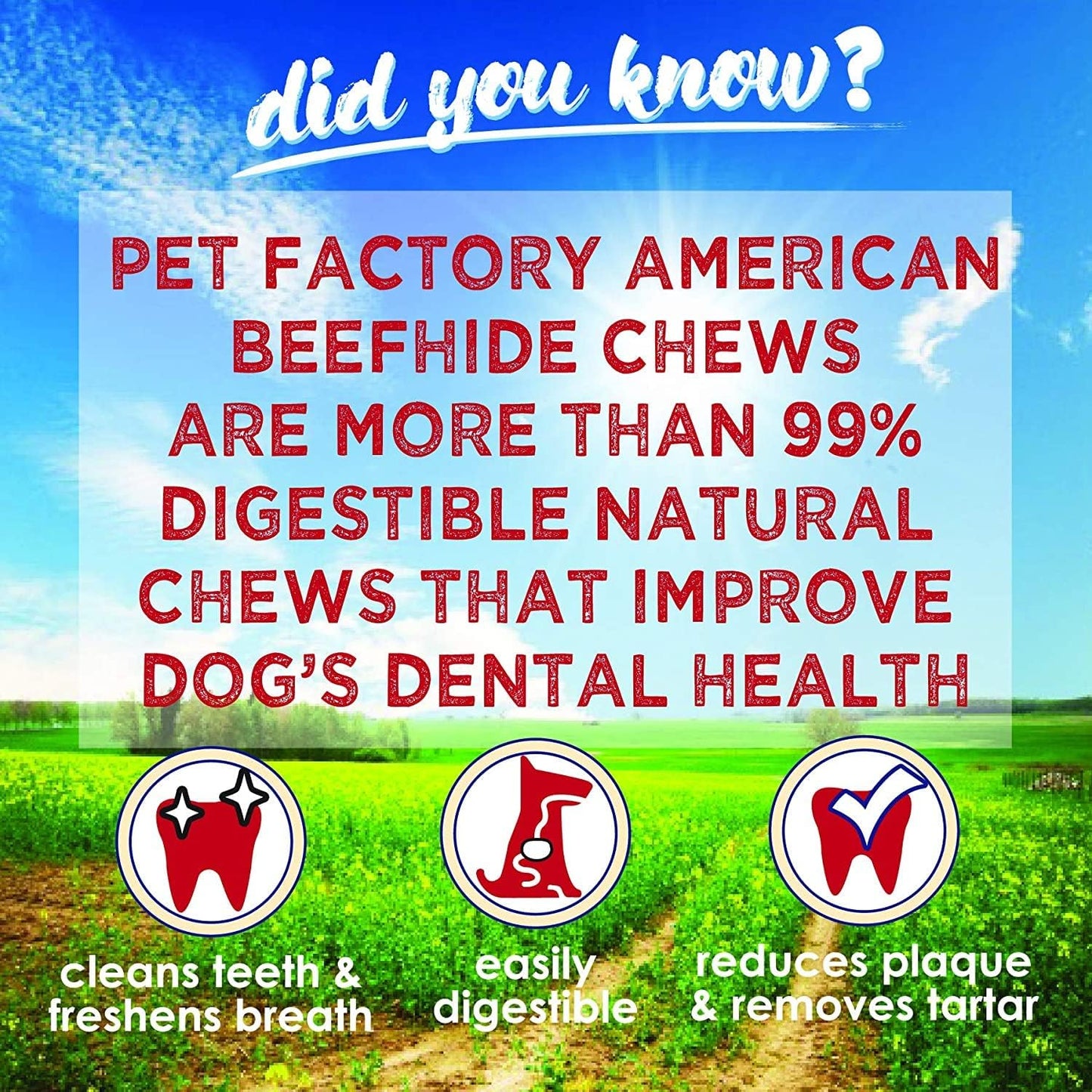 Pet Factory American Beefhide 3" Mini Rolls Dog Chew Treats - Natural Flavor, 40 Count/1 Pack