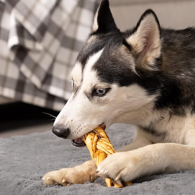 Pet Factory 100% Made in USA Beefhide 7" Braided Sticks Dog Chew Treats - Beef & Chicken Flavor, 6 Count/1 Pack