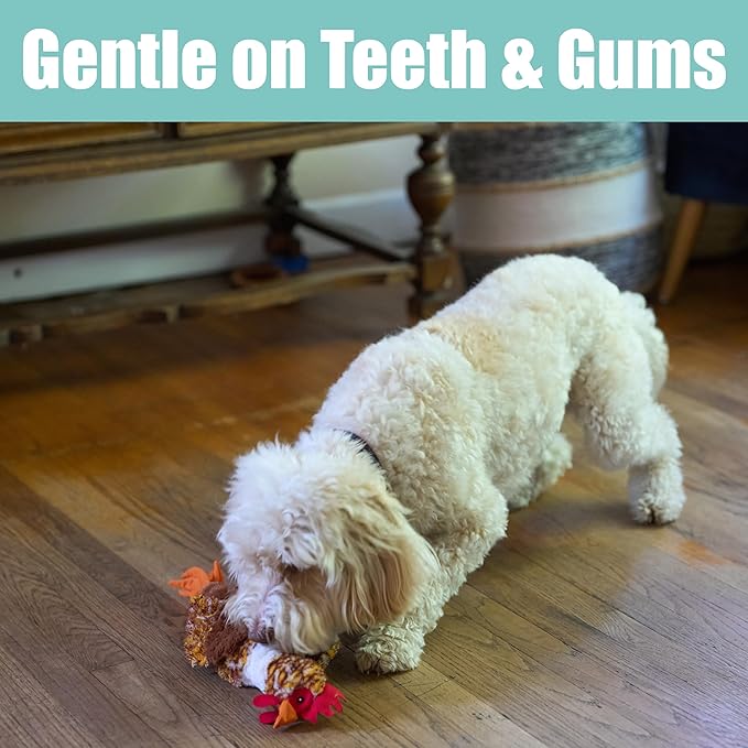 SPOT Skinneeez Chicken 17" Stuffing-Free Plush Dog Toy with Honking Squeaker – Soft, Floppy & Mess-Free Interactive Toy for Medium & Large Dogs – Ideal for Light & Moderate Chewers