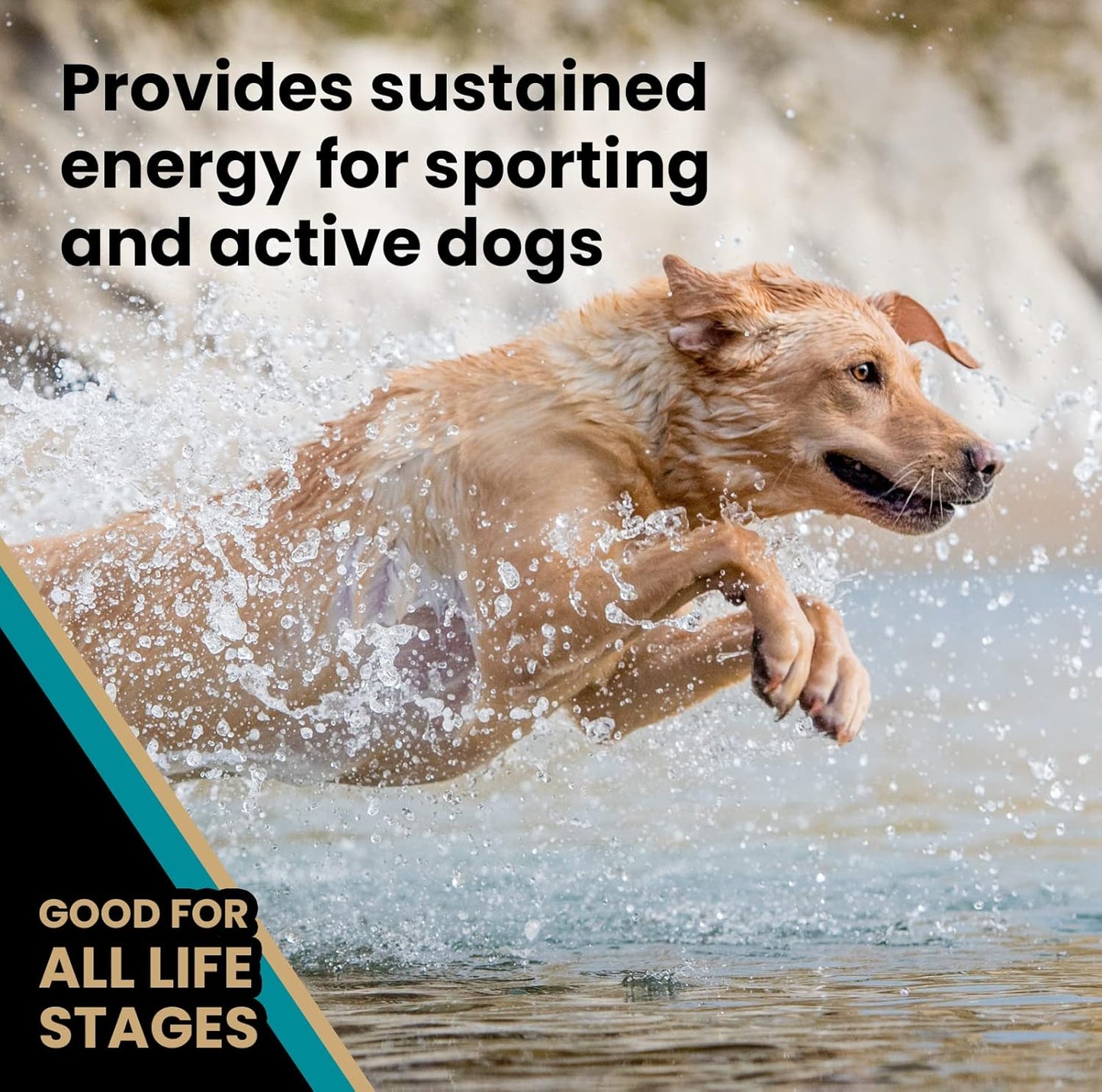 VICTOR Super Premium Dog Food – Hi-Pro Plus Dry Kibble – High Protein Dog Food with 30% Protein – Beef, Chicken, Pork, Fish Meals, Gluten Free - for High Energy and Active Dogs & Puppies, 5lbs