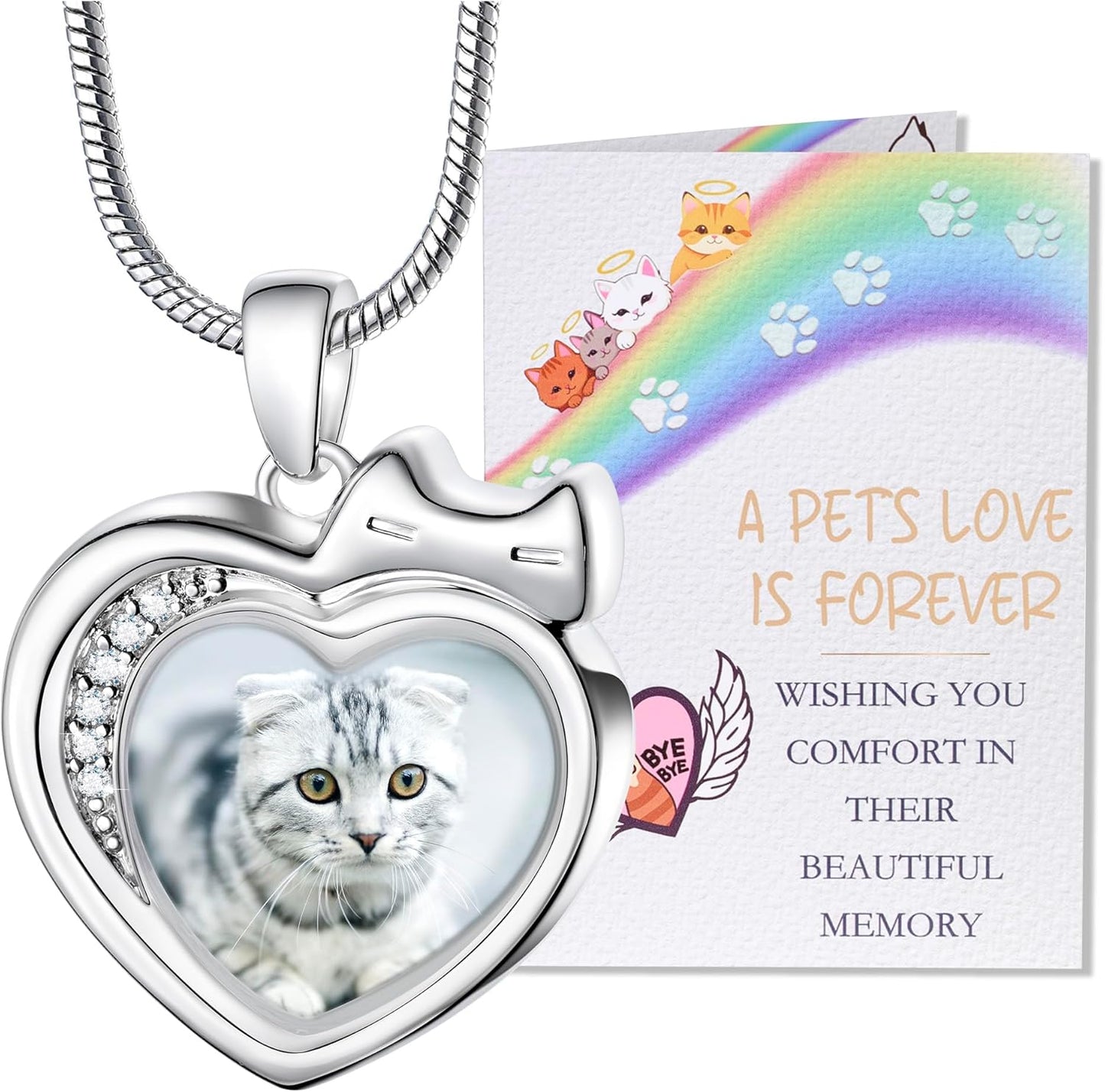 Farfume Personalized Pet Urn Necklace for Dog Cat Ashes Cremation Pet Memorial Customized Photo Text Engraving Pendant Keepsake Funeral Jewelry
