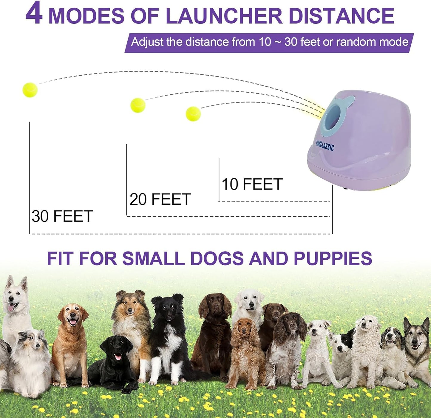 BESTHLS Automatic Dog Ball Launcher Interactive Tennis Ball Thrower Machine for Small Medium Dogs Fetching Distance 10-30ft (Purple)