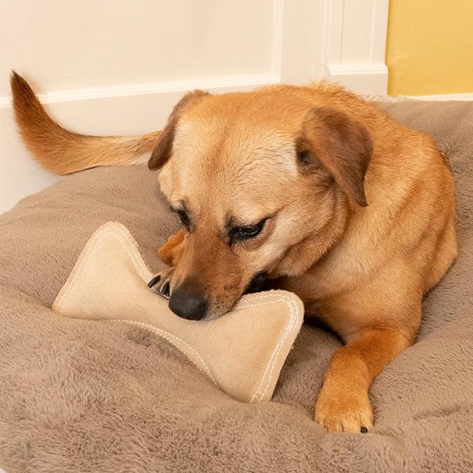 SPOT Dura-Fused Leather Bone- Durable Dog Toy with Squeaker, Real Leather & Jute Fabric, Interactive Toy for Moderate & Aggressive Chewers, Medium & Large Dogs and Puppies, 9 inch