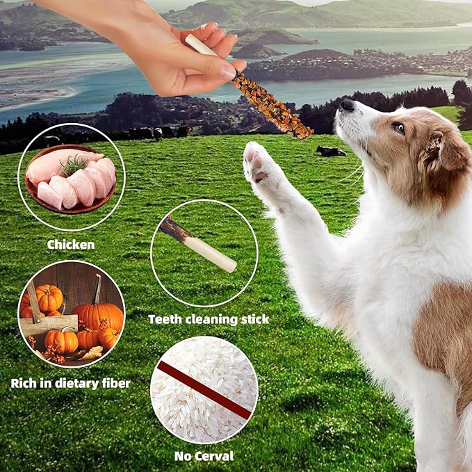 Chicken Wrapped Sticks Pumpkin Dog Treats,14.1oz Rawhide Free Natural Dental Chews,Dog Training Treats, Teeth Cleaning